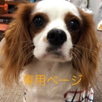 clara-reina様専用ページ