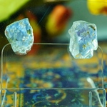 flosite 【勿忘草】