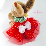 再販3♡うさぎ用♡赤いちごのドレスハーネス＊受注制作＊