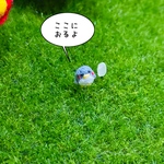 米粒ペンギンさん