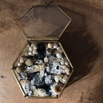 ドライフラワー リングピロー