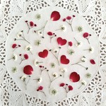 押し花素材　No405　ハートのセット　バラの花びら　かすみ草　レースフラワー