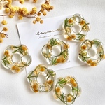 こっそり♡ Goannaclaw🌼ピアス/イヤリング