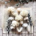 ヘッドパーツ white rose  20本  フラワーアクセサリー  ドライフラワー
