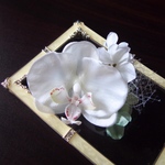 胡蝶蘭と紫陽花、チュールのコサージュ 入学式や卒業式に