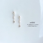 new▷clear elegan line ピアス/ノンホールイヤリング＊受注製作＊