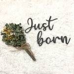 ニューボーンフォト ジャストボーン Just born 新生児 レターバナー
