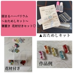 3Dプレミアム  箸置きキット