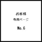 お客様＊専用ページ＊No.6