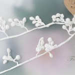 ケミカルレース 綿 1m フリンジ ドット ブドウ 木の実 キナリ (LFR30CKNJH00)