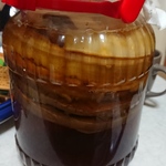 紅茶キノコスコビー ３リットル用