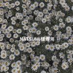 NATSUMI様専用