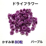  【ドライフラワー】かすみ草（パープル）