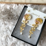botanical  dry flower  pierce