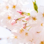 オプション追加500円