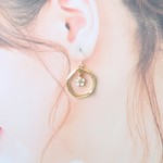 白い小花（勿忘草）とメタル（ペンタゴン）♡ピアス・イヤリング♪【K18・K14GF/14kgf対応】