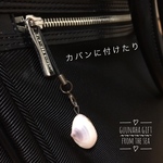 桜貝のストラップ  5本セット