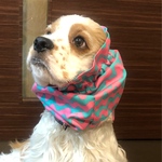ピンク×水色　しましま　中型犬用スヌード　犬用スヌード
