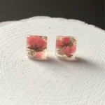 スクエア  チタンピアス(ピンク)