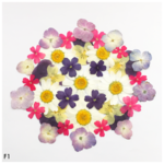 【F1】押し花アソートパックセット 〜flower mix〜