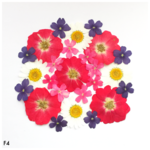 【F4】押し花アソートパックセット 〜pure rose〜