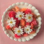 【ドライフラワー】ペーパーカスケード＆千日紅＆スターチス＜ピンク系＞
