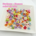 【訳ありoutlet】スターフラワー・ブロッサムMIXcolor【F-036】