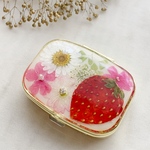🍓いちご畑のピルケース🍓