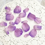 ローズ花びら販売❣️アレンジ加工すみれグラデーション🌸ハーバリウムレジンアクセサリー花材パーツ