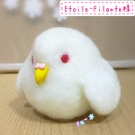 Etoile-Filante様