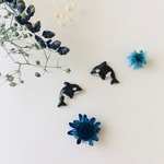 シャチピアス