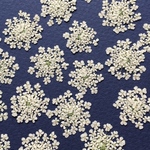 押し花205 レースフラワー無着色