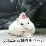 yukizo-97様専用ページ