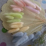 冬に可愛い💖パステルカラーのふわふわラグラス