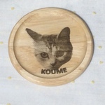 わんちゃん、ねこちゃんのコースター(オーダメイド）