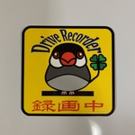 桜文鳥　ステッカー　ドライブレコーダー