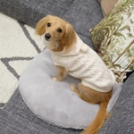 (ライトグレー)カフェ&キャリーマット