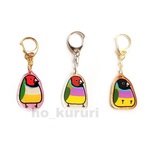 【再販×2】コキンチョウ プラ板キーホルダー 鳥 2248-3193