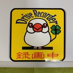 白文鳥　ステッカー　ドライブレコーダー