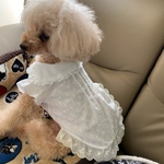 犬服　オーダー　綿レースフリルのワンピース　