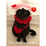 アモちゃんママ専用！