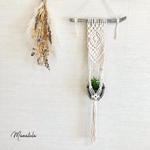 macrame plant hanger/流木ハンガー/プラントハンガー