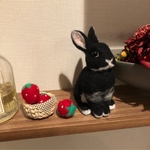 羊毛フェルト　黒うさぎ　苺カゴ付き
