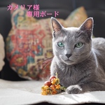 リクエスト作品