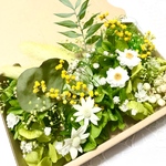 春の訪れ＊ミモザ＊ハーバリウム　花材ドライフラワー　花材詰め合わせセット