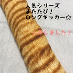  よく遊ぶ！またたびロングキッカー