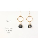 pierce/earring.764