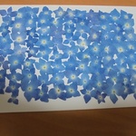 押し花商品【④アジサイ　80輪ほど】