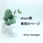 eharu様オーダー専用ページ
