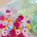 かすみ草ドライフラワー